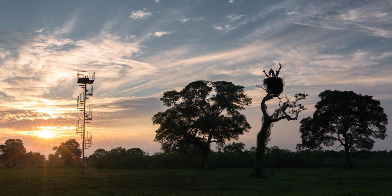 Southwild Pantanal Lodge Pixaim Eksteriør bilde