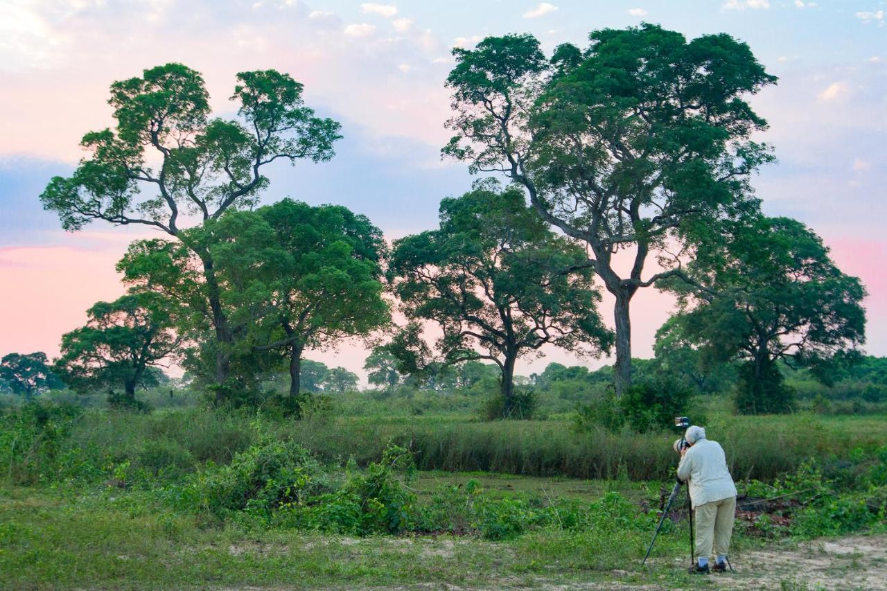 Southwild Pantanal Lodge Pixaim Eksteriør bilde