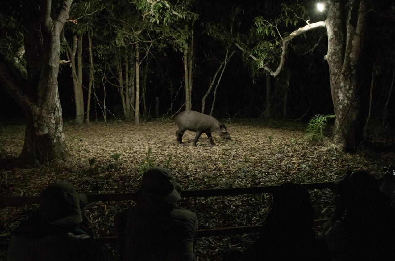 Southwild Pantanal Lodge Pixaim Eksteriør bilde