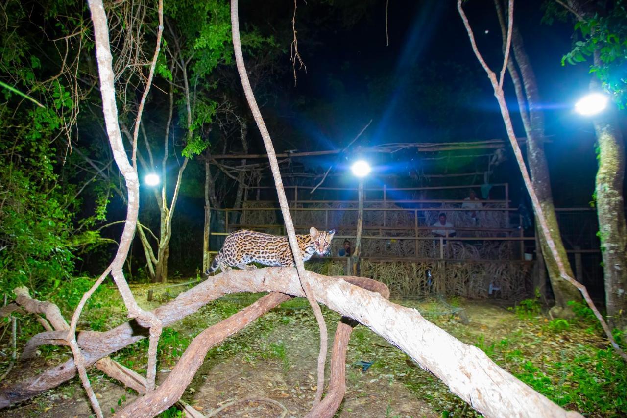 Southwild Pantanal Lodge Pixaim Eksteriør bilde