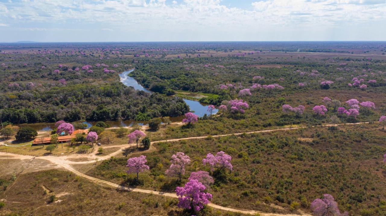 Southwild Pantanal Lodge Pixaim Eksteriør bilde