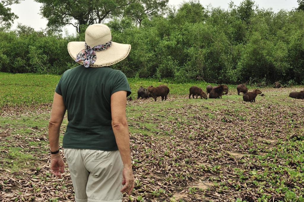 Southwild Pantanal Lodge Pixaim Eksteriør bilde