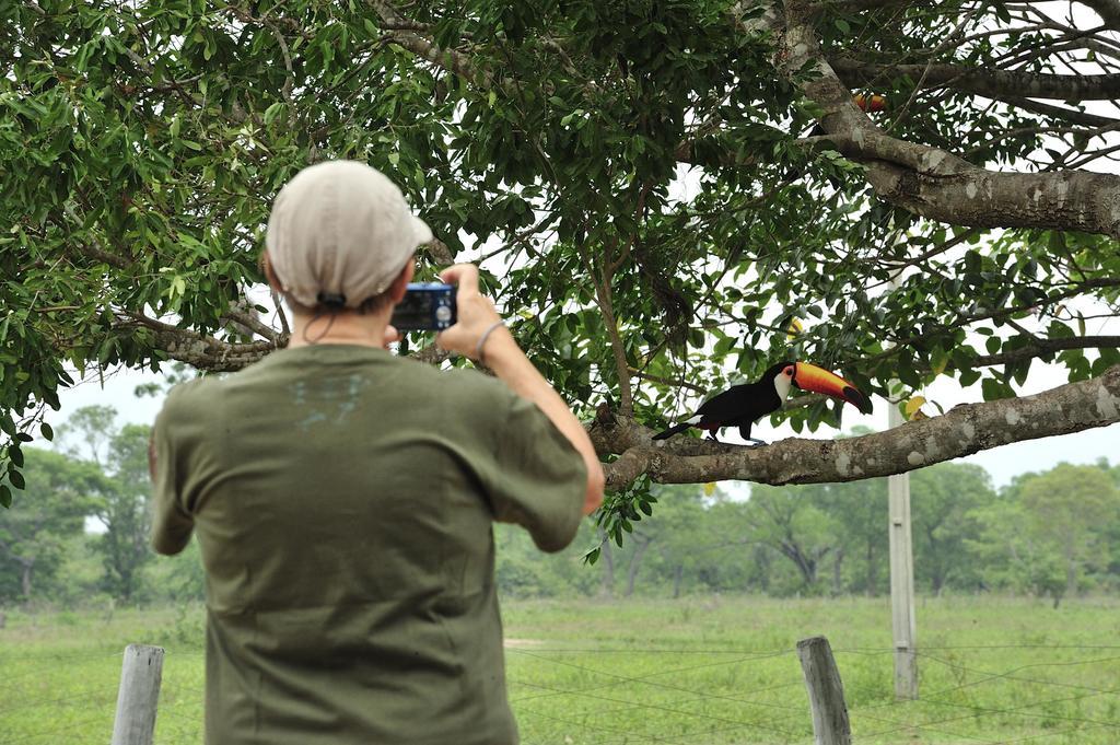 Southwild Pantanal Lodge Pixaim Eksteriør bilde
