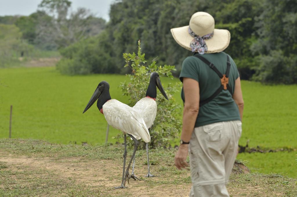 Southwild Pantanal Lodge Pixaim Eksteriør bilde