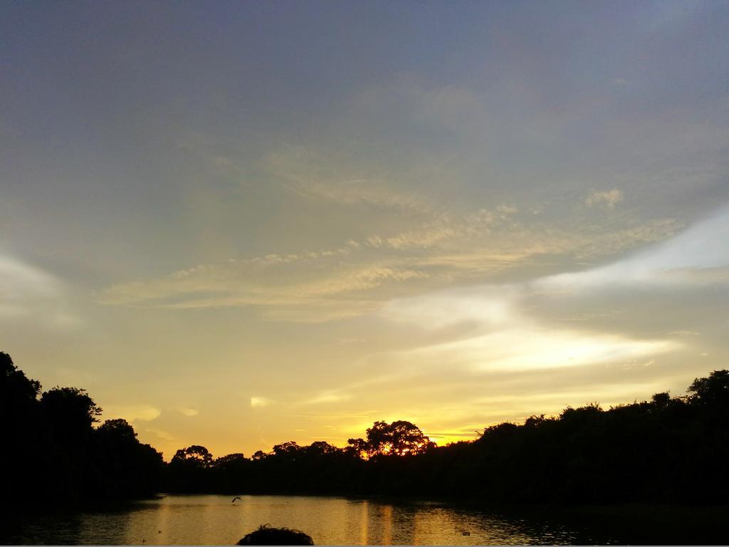 Southwild Pantanal Lodge Pixaim Eksteriør bilde