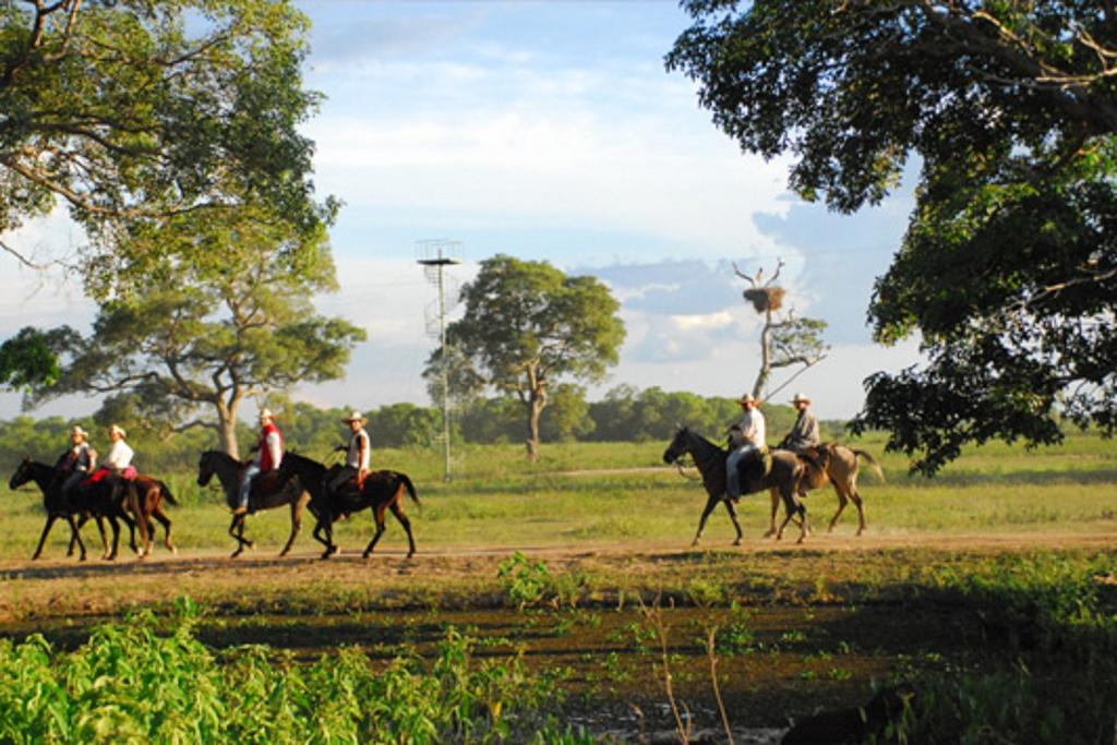 Southwild Pantanal Lodge Pixaim Eksteriør bilde