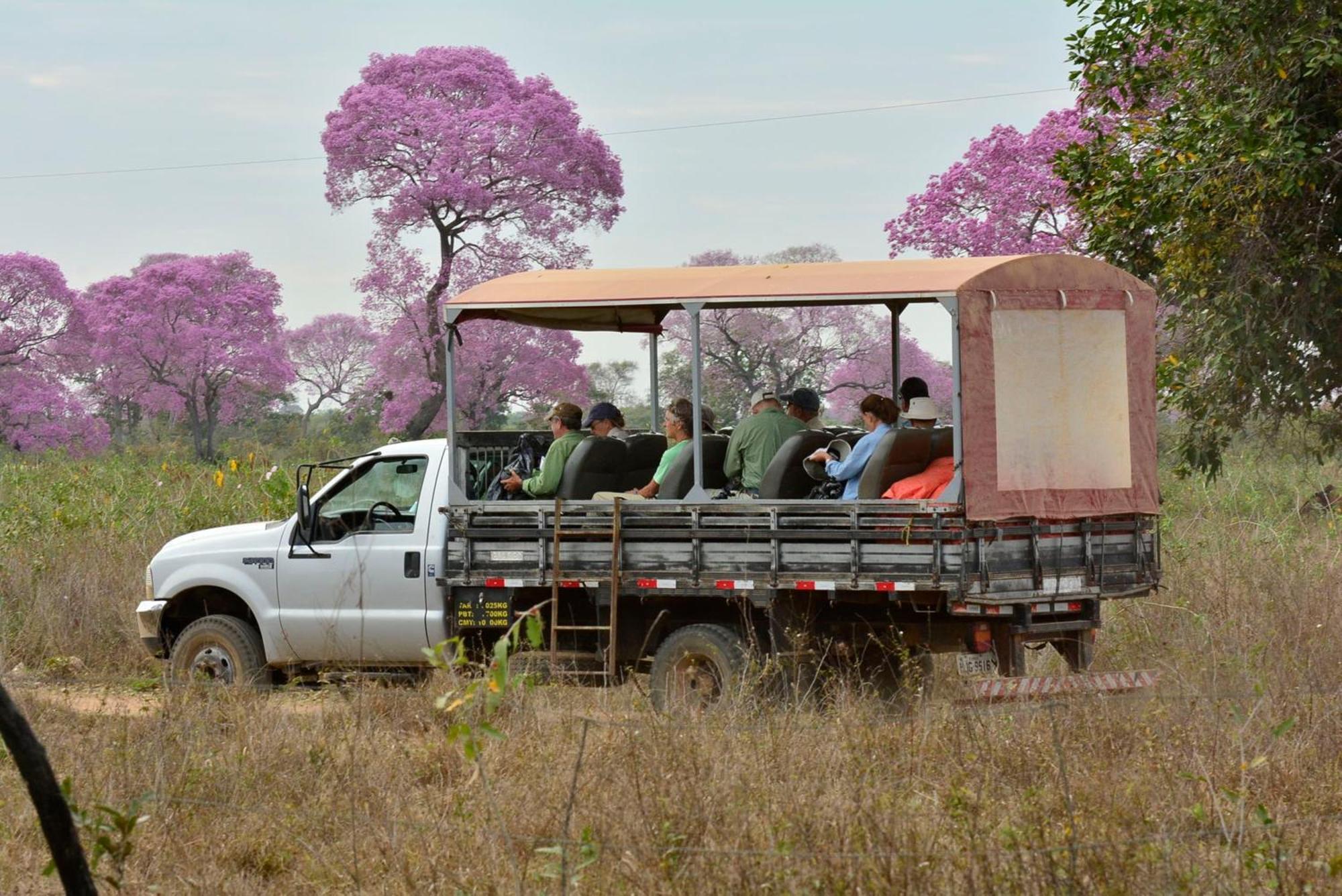 Southwild Pantanal Lodge Pixaim Eksteriør bilde